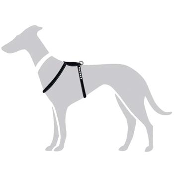 Hunter R&S Canadian UP Leather Dog Harness 50-56cm/18mm Black - buy, prices for MasterZoo - photo 5