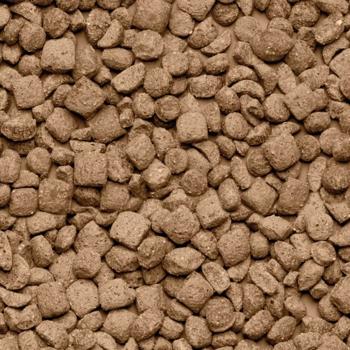 Food Beaphar 700g - buy, prices for MasterZoo - photo 2