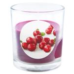 Свеча Bolsius клюква 80/72