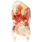 Тушка качки Славна Качка 1 категорії заморожена