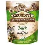 Food Carnilove 300g