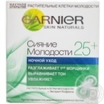 Cream Garnier Skin naturals for face 50ml
