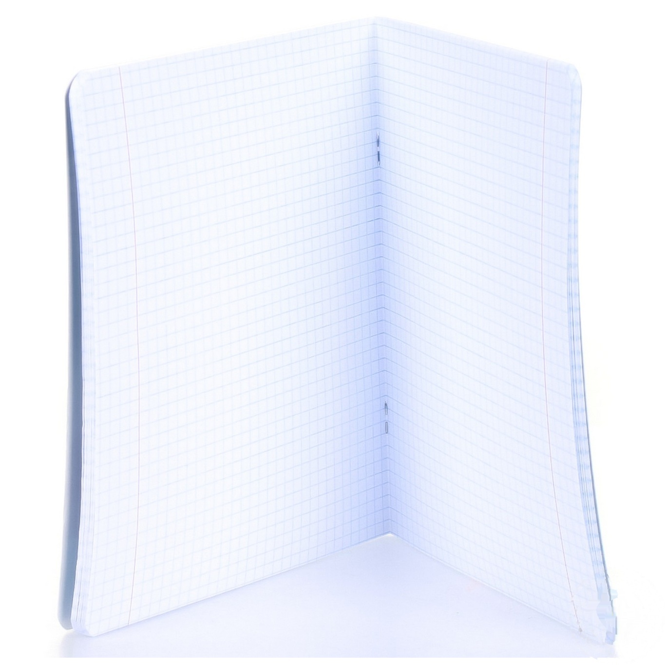 

Тетрадь Поділля в клетку в ассортименте 60л