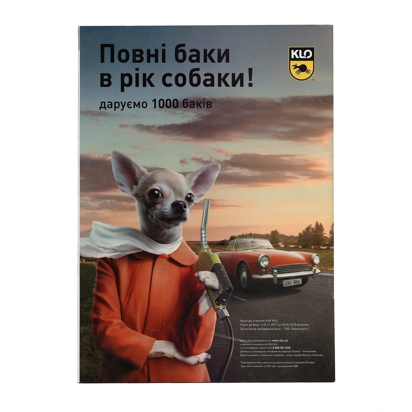 

Журнал История Новый взгляд