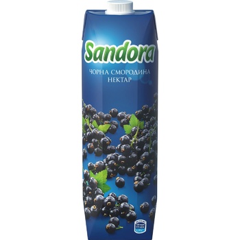 Sandora Blackcurrant Nectar 0.95l - buy, prices for Auchan - photo 3