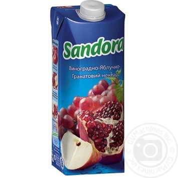 Clarified pasteurized nectar Sandora grape-apple-pomegranate tetra pak 500ml Ukraine - buy, prices for - photo 9