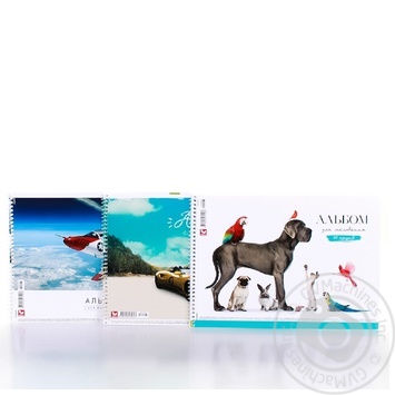 Альбом Школярик для малювання 20аркушів Art.472023 х10 купити, ціни на МегаМаркет - фото 6