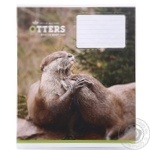 Star Exercise book 18 sheets lined