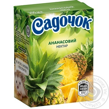 nectar sadochok pineapple 200ml tetra pak Ukraine