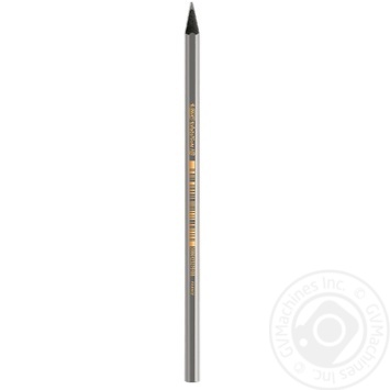 Олівець Bic Evolution чорний х12 купить, цены на МегаМаркет - фото 1