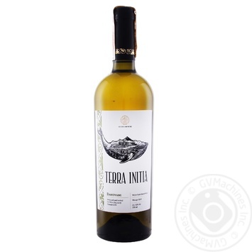 Wine Terra white semisweet 12% 750ml - buy, prices for MegaMarket - photo 1
