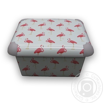 Rotho Flamingo storage box 6l