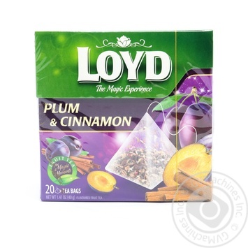 Loyd Fruit Tea with Plum and Cinnamon 2g 20pcs - buy, prices for NOVUS - photo 1