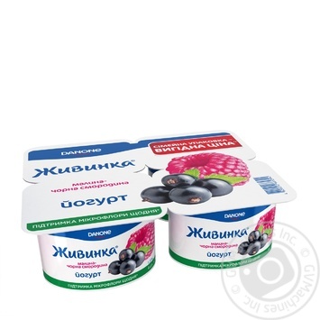 Zhivinka blackcurrant-raspberry yogurt 1.5% 4*115g - buy, prices for MegaMarket - photo 1