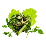 Chicken Salad