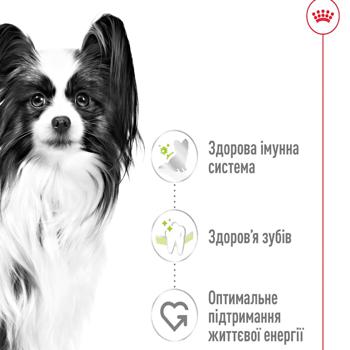 Корм сухой Royal Canin с домашней птицей для взрослых собак миниатюрных пород 1,5кг - купить, цены на MasterZoo - фото 2