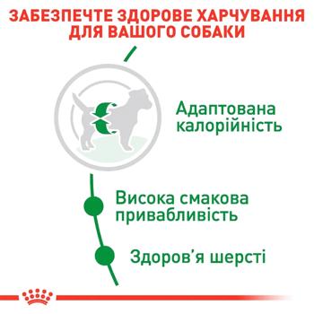 Сухий корм для собак Royal Canin Mini Adult 7+1 кг - домашня птиця - купить, цены на MasterZoo - фото 2