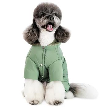 Costume Pet fashion Ukraine - buy, prices for MasterZoo - photo 2