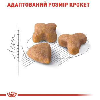 Набір корму Royal Canin Sensible 33 для котів з чутливим травленням cухий 2кг + вологий 4шт х 85г - купити, ціни на MasterZoo - фото 4