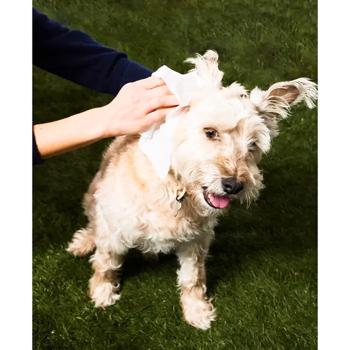Серветки для собак Natural Dog Company Grooming Wipes XL 50 шт - купить, цены на MasterZoo - фото 7