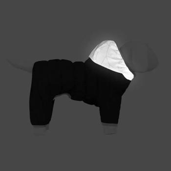 Combination Collar - buy, prices for MasterZoo - photo 4