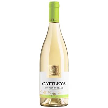 Cattleya Sauvignon Blanc White Dry Wine 13% 0.75l - buy, prices for Tavria V - photo 1