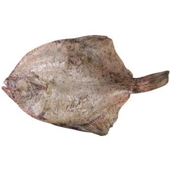 Kalkan Azov Flounder - buy, prices for METRO - photo 1