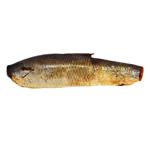 Тушка Салаки Українська зірка холодного копчения