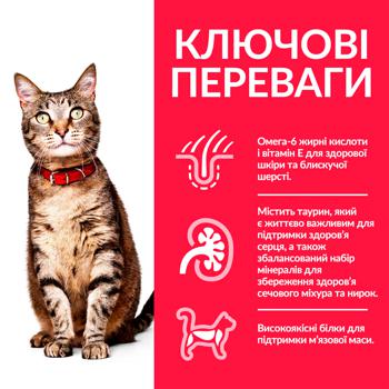 Корм сухий Hill's Science Plan Adult з куркою для котів 15кг - купити, ціни на MasterZoo - фото 2