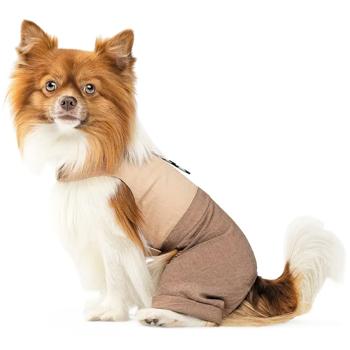 Pet Fashion Darcy шлея-костюм для собак M - купить, цены на MasterZoo - фото 3