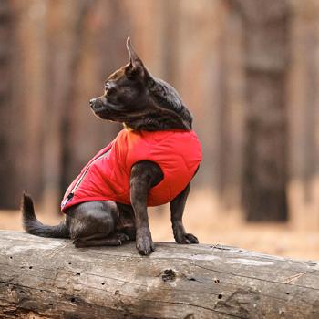 Pet Fashion E.Vest Vest for Dogs s.XS Red - buy, prices for MasterZoo - photo 7