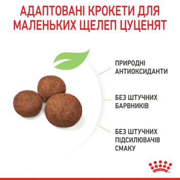 Корм сухой Royal Canin Medium Puppy с домашней птицей для щенков средних пород 3кг - купить, цены на MasterZoo - фото 5