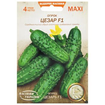 Nasinnia Ukrainy Maxi Caesar F1 Cucumber Seeds 4g - buy, prices for MegaMarket - photo 1