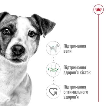 Royal Canin Dry Food for Dogs of Small Breeds 3.2+800g - buy, prices for - photo 2