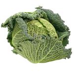 Savoy Cabbage