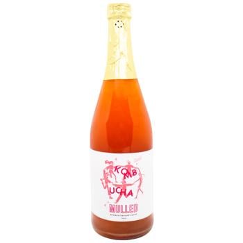 Kombucha 750ml - buy, prices for WINETIME - photo 1