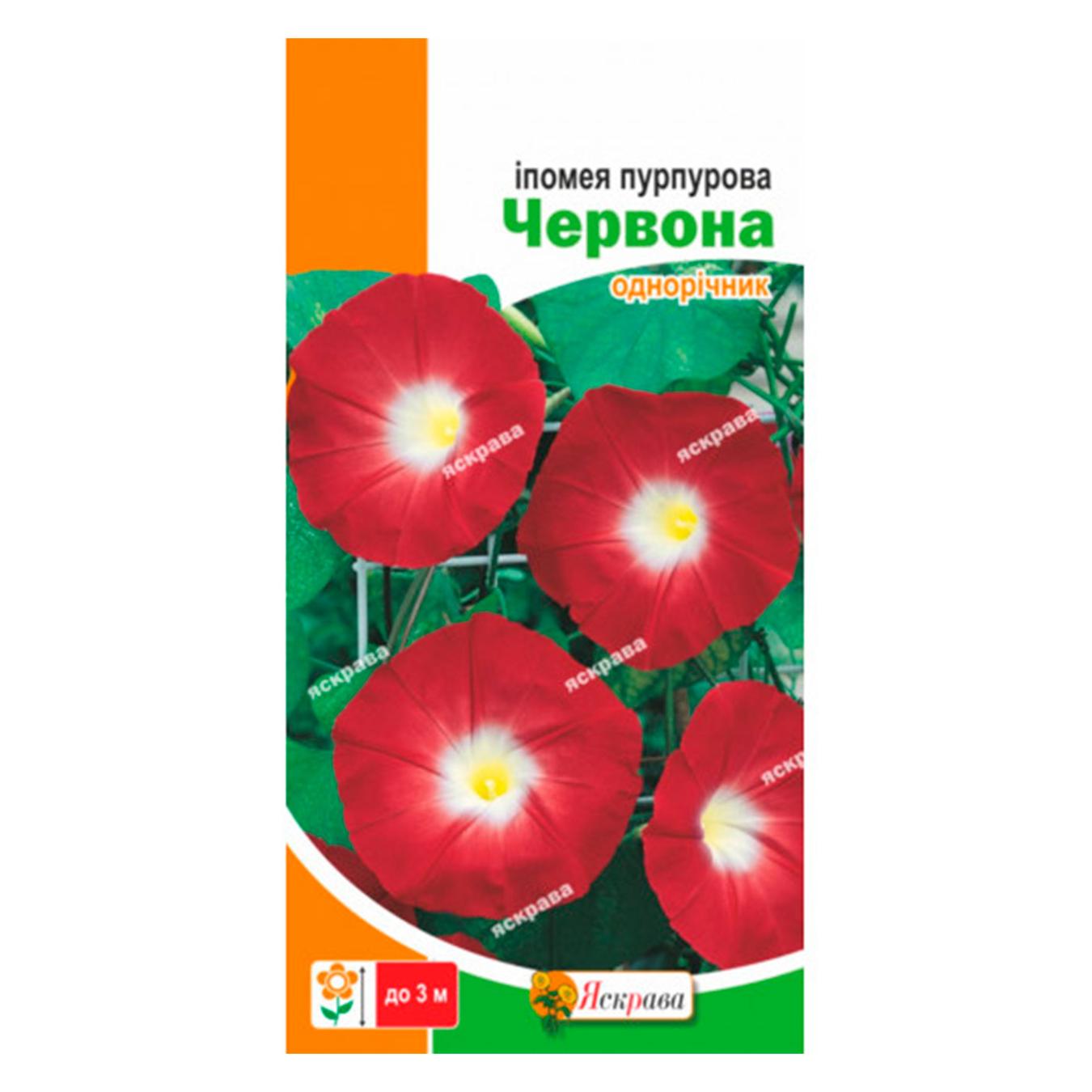 Фото товару