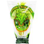 Puchok-Svizhachok Salad 170g