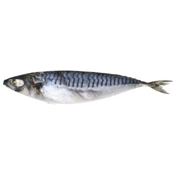 UFK Fresh Frozen Mackerel with Head 400-600 - buy, prices for Za Raz - photo 1