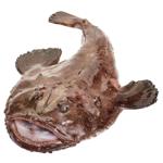 Морський чорт