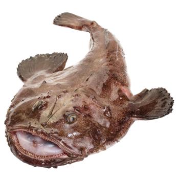 Морський чорт - купити, ціни на METRO - фото 1