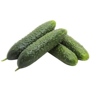 Gherkin Cucumber Import - buy, prices for - photo 1