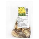 Golden Delicious Narcissus Bulbs 3pcs