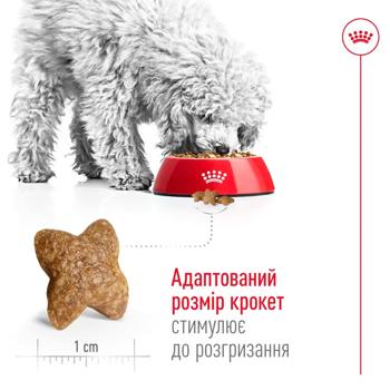 Сухий корм для собак Royal Canin Mini Adult 1,6 кг + 400 г - домашня птиця - купити, ціни на MasterZoo - фото 4