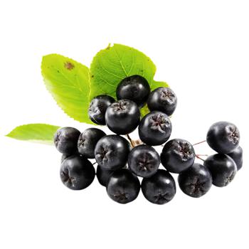 Aronia Chokeberry - buy, prices for - photo 3