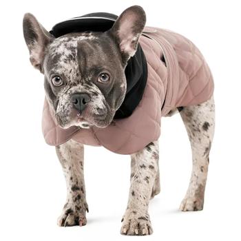 Horsecloth Pet fashion - buy, prices for MasterZoo - photo 2