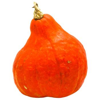 Гарбуз оранж