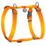 Leash Collar