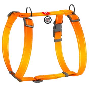 Leash Collar - buy, prices for MasterZoo - photo 1