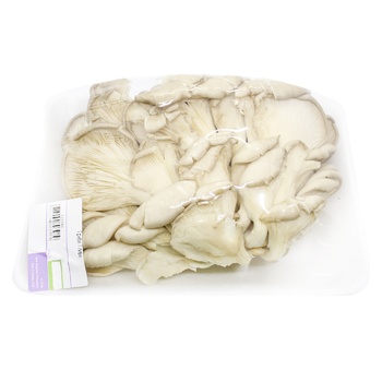 Oyster Mushrooms - buy, prices for MegaMarket - photo 2